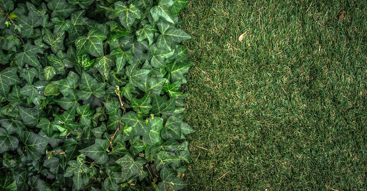 Waarom kunstgras duurzaam is voor je tuin